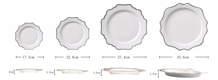 silver rimmed porcelain dinner plate set