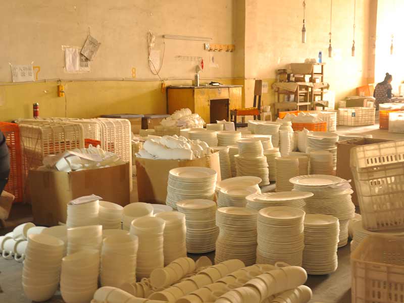 shanxi sonya Factory Photos